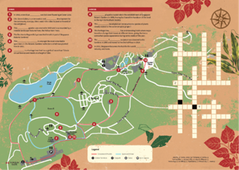DIY Trail