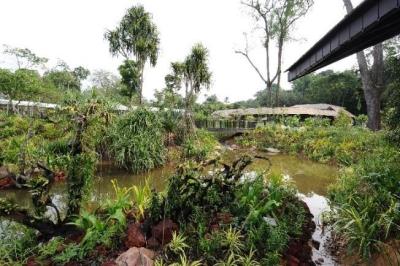 Keppel Discovery Wetlands at the Learning Forest.