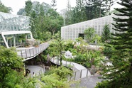 Singapore Botanic Gardens Homepage