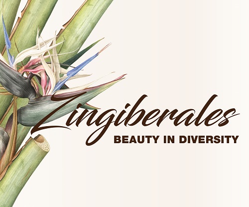 Zingiberales Exhibition Keyvisual