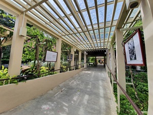 The Tree Project TANGLIN