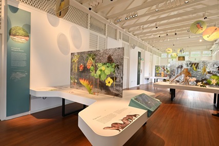 Interior of Forest Discovery Centre @ OCBC Arboretum