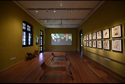 Interior of Botanical Art Gallery