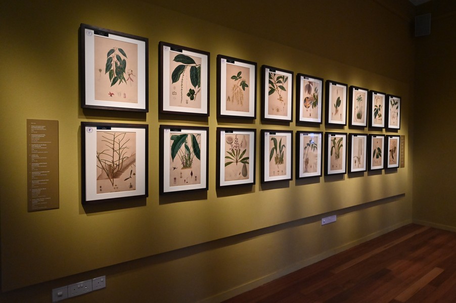 Botanical Art Gallery