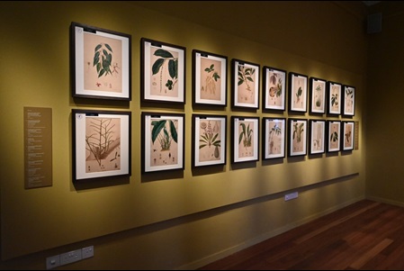 Interior of Botanical Art Gallery