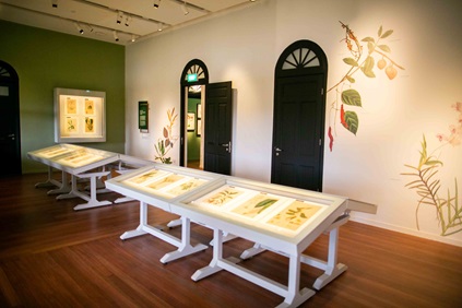 Interior of Botanical Art Gallery