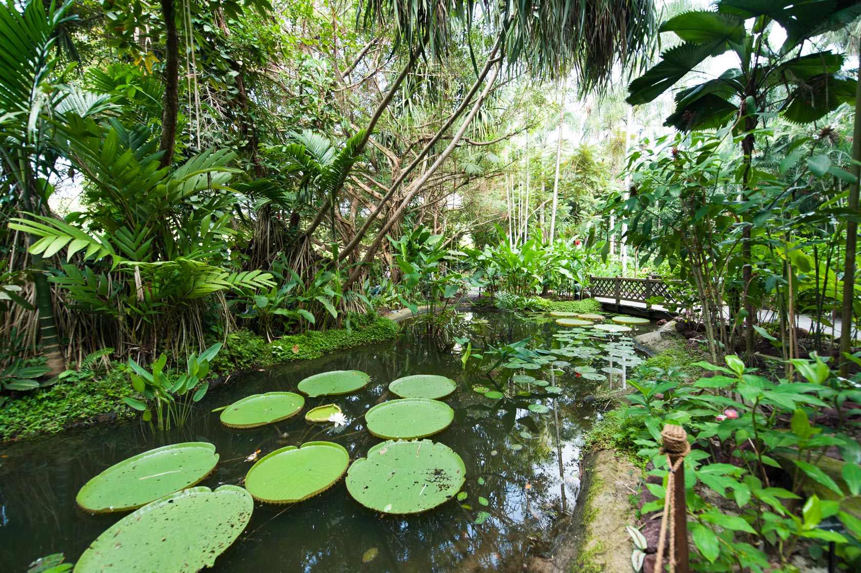 Singapore Botanic Gardens Homepage