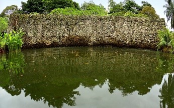 Koi Pond at Tanglin Gate