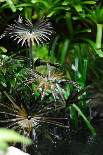 Fan Palm Fountain