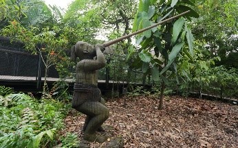 Hunter Gatherer at Ethnobotany Garden