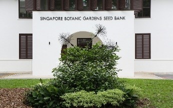 Tandok Seed sculpture outside Seed Bank