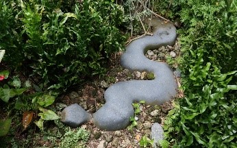 Gaboon viper at Nassim entrance