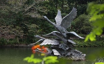 Flight of Swans at Swan Lake