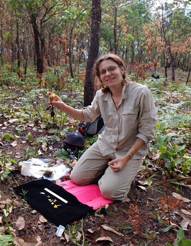 Image of Researcher, Dr Jana LEONG-ŠKORNIČKOVÁ.