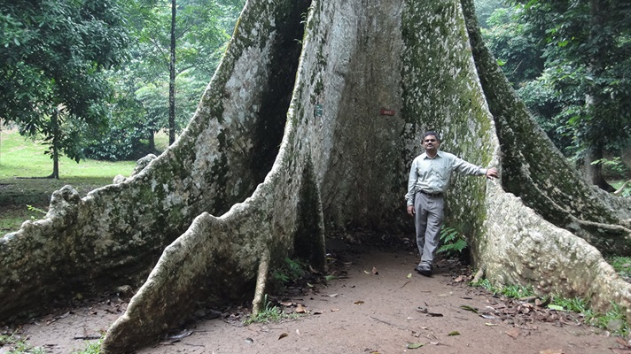 Image of Researcher, Dr S K GANESAN