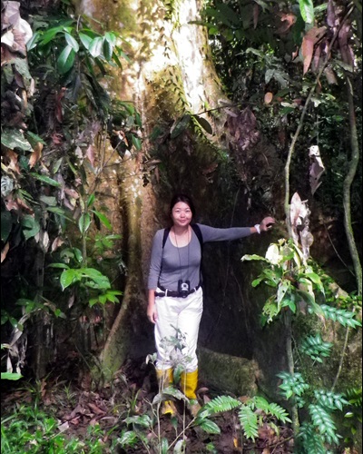 Image of Researcher, Ms Lily CHEN
