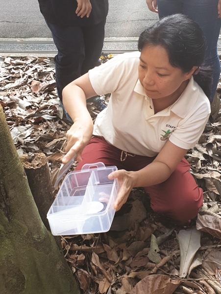 Image of Researcher, Ms Serena LEE