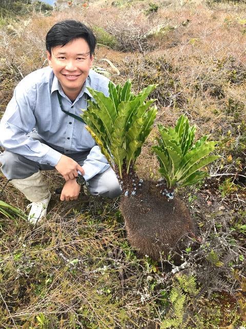 Image of Research, Dr LOW Yee Wen