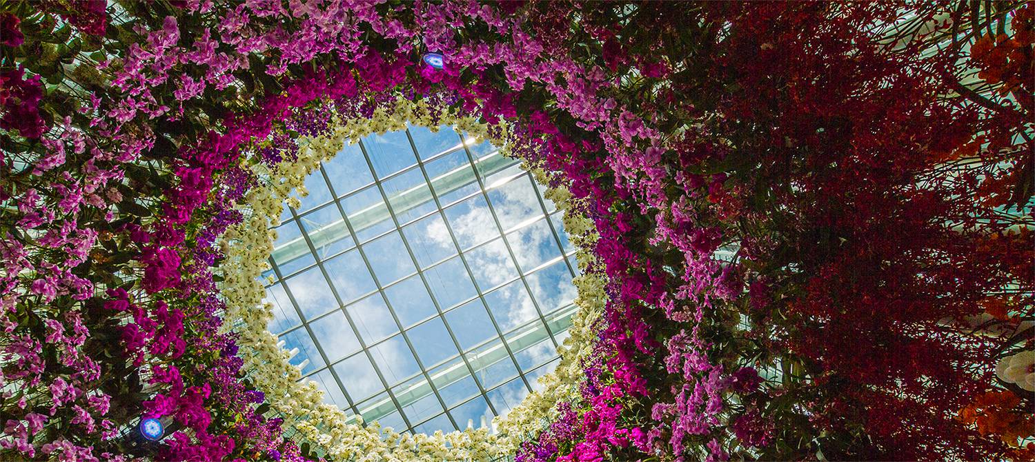Show Info Singapore Garden Festival