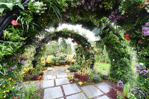 Vertical Green Plot at Vertical Greenery Competition in 2019
