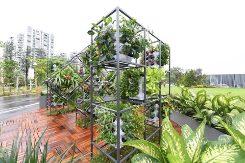 Consis Living Cube