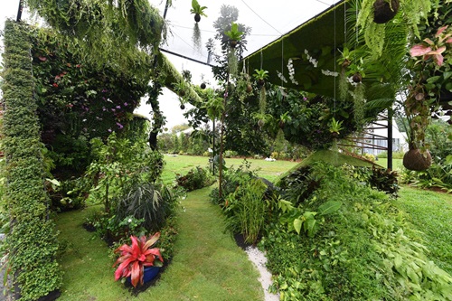 Greenology Vertical Greenery Competition 2019