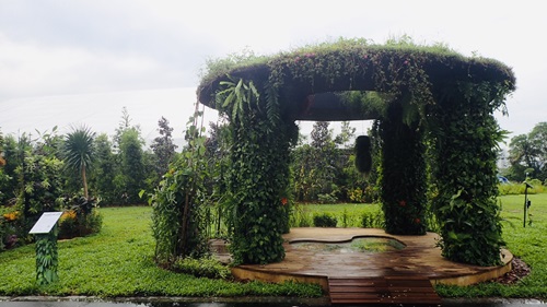 GWS "Songs of the Sea" Plot at Vertical Greenery Competition 2019 at HortShow Jurong Lake Gardens