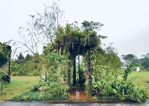 Tropical Environment Vertical Greenery Competition 2019
