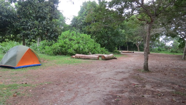 jelutong campsite