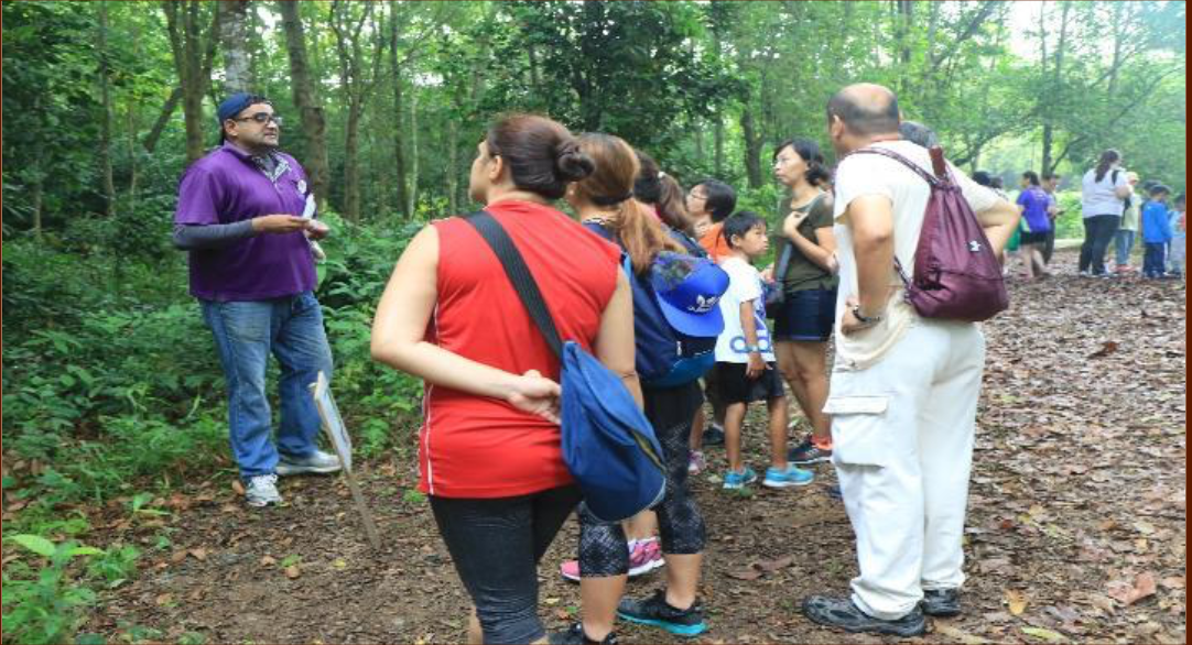 Kampong tour