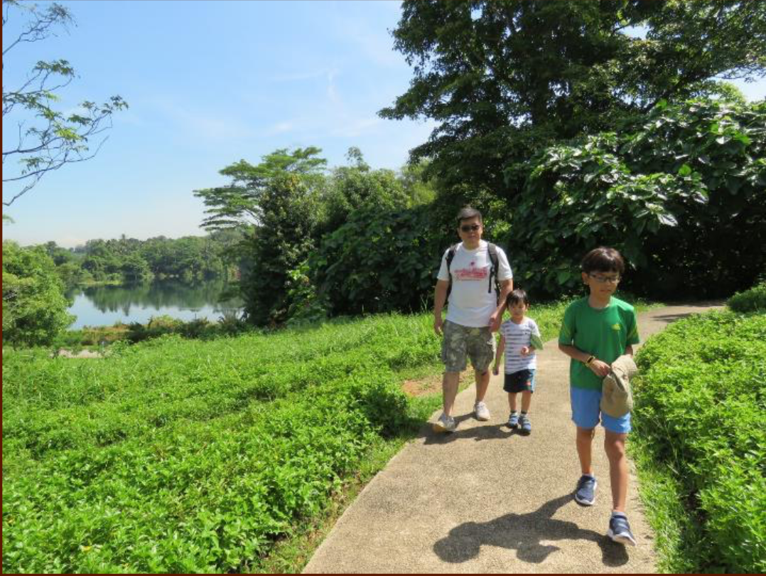 Butterfly Hill