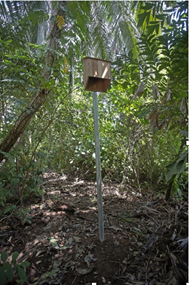 bat box
