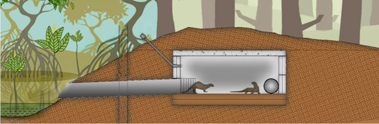 otter holt