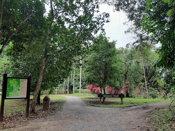 sensory garden trail pulau ubin