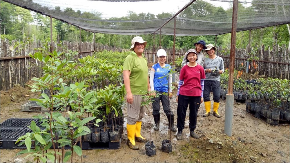 Volunteers at Ubin Living Lab Mangrove Nursery