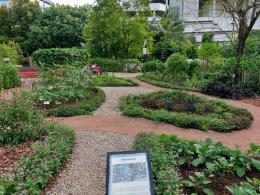 Gardening with Edibles