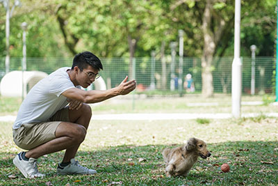 Pet 4
