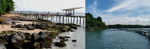 Ubin 4