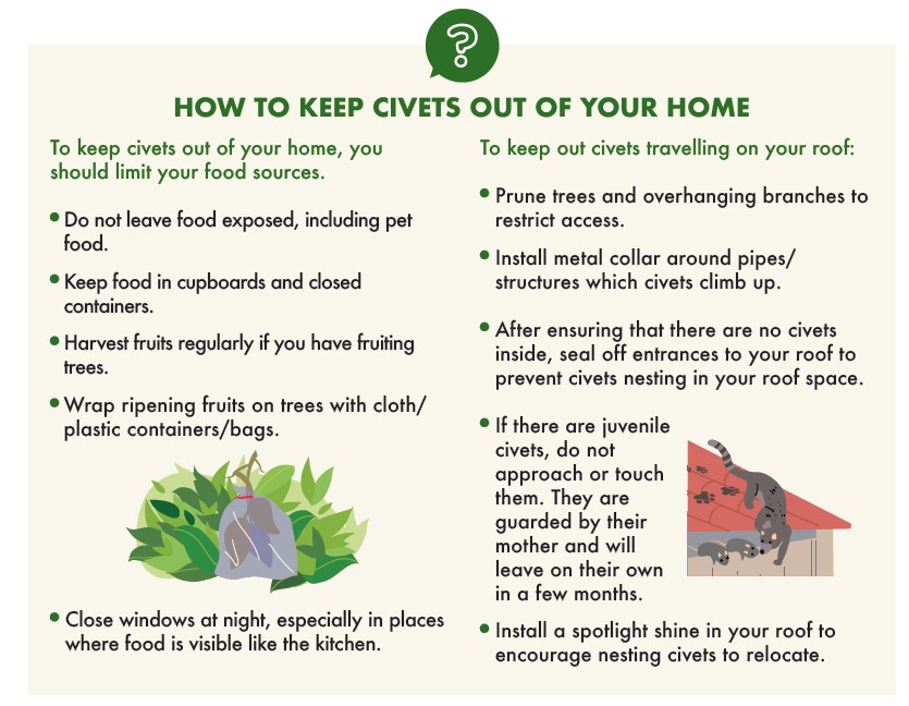 Civet exclusion infographic