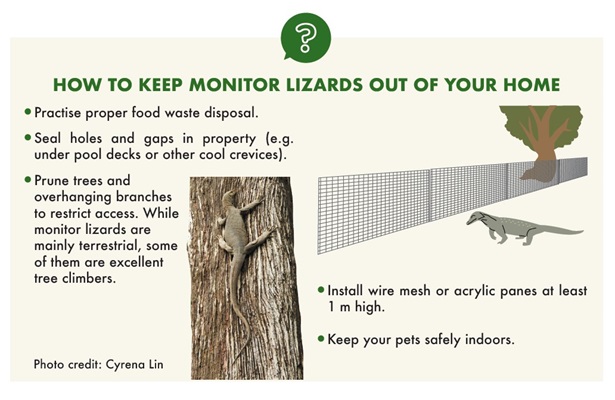 Monitors exclusion infographic