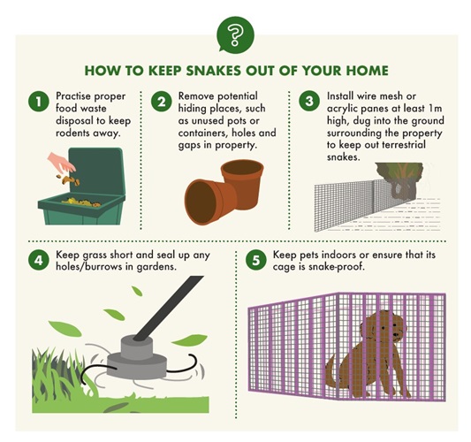 Snakes exclusion infographic