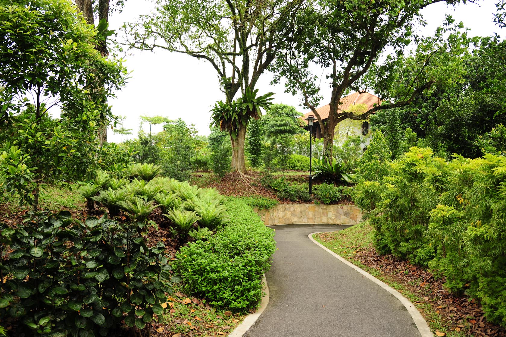 Healing Garden