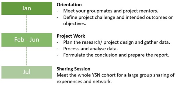 YSN project timeline