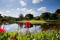 Eco lake located in Eco Garden.