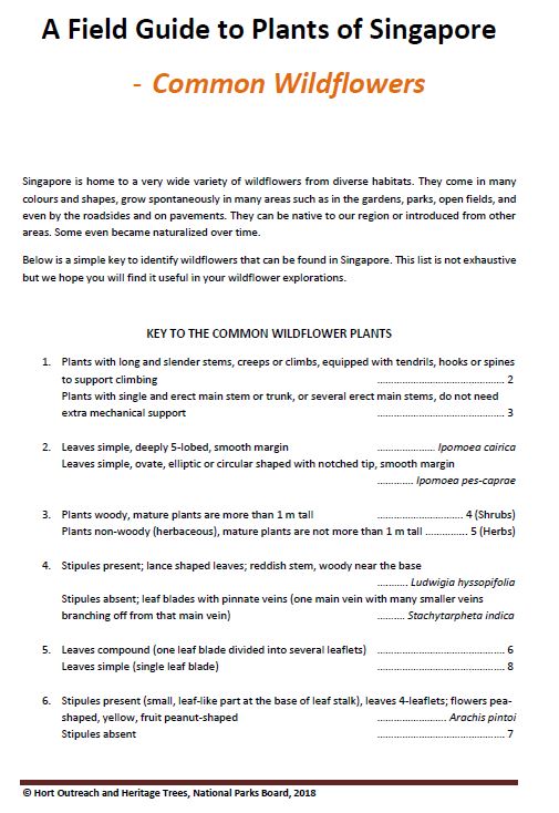 A Field Guide To Plants Of Singapore - Common Wildflowers