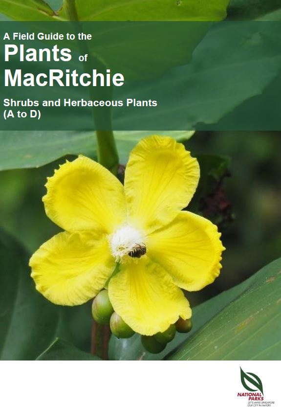 A Field Guide to Shrubs and Herbaceous Plants of Macritchie_(A to D) Pic