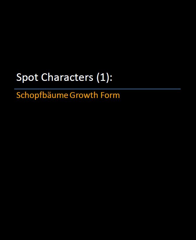 Spot Characters 1_Schopfbaume growth form Pic