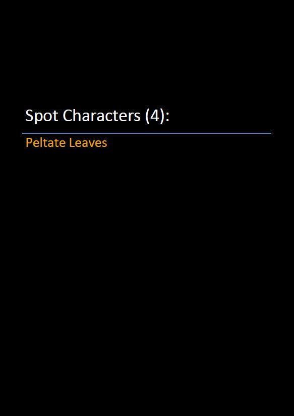 Spot Characters 4_Peltate Leaves Pic