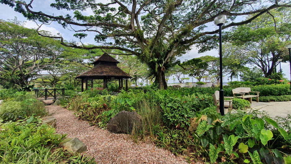 PRP Therapeutic Garden