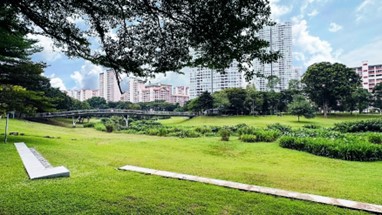 Contemplative landscape